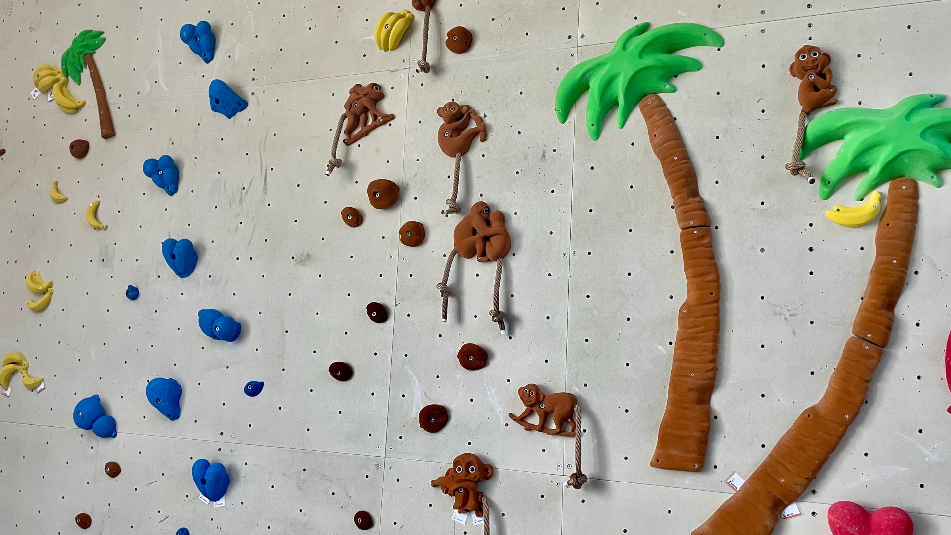 Klettewand für Kinder BoulderBaar